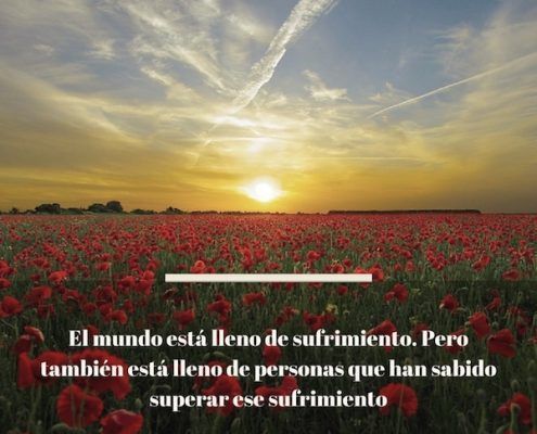 psicologos madrid precios